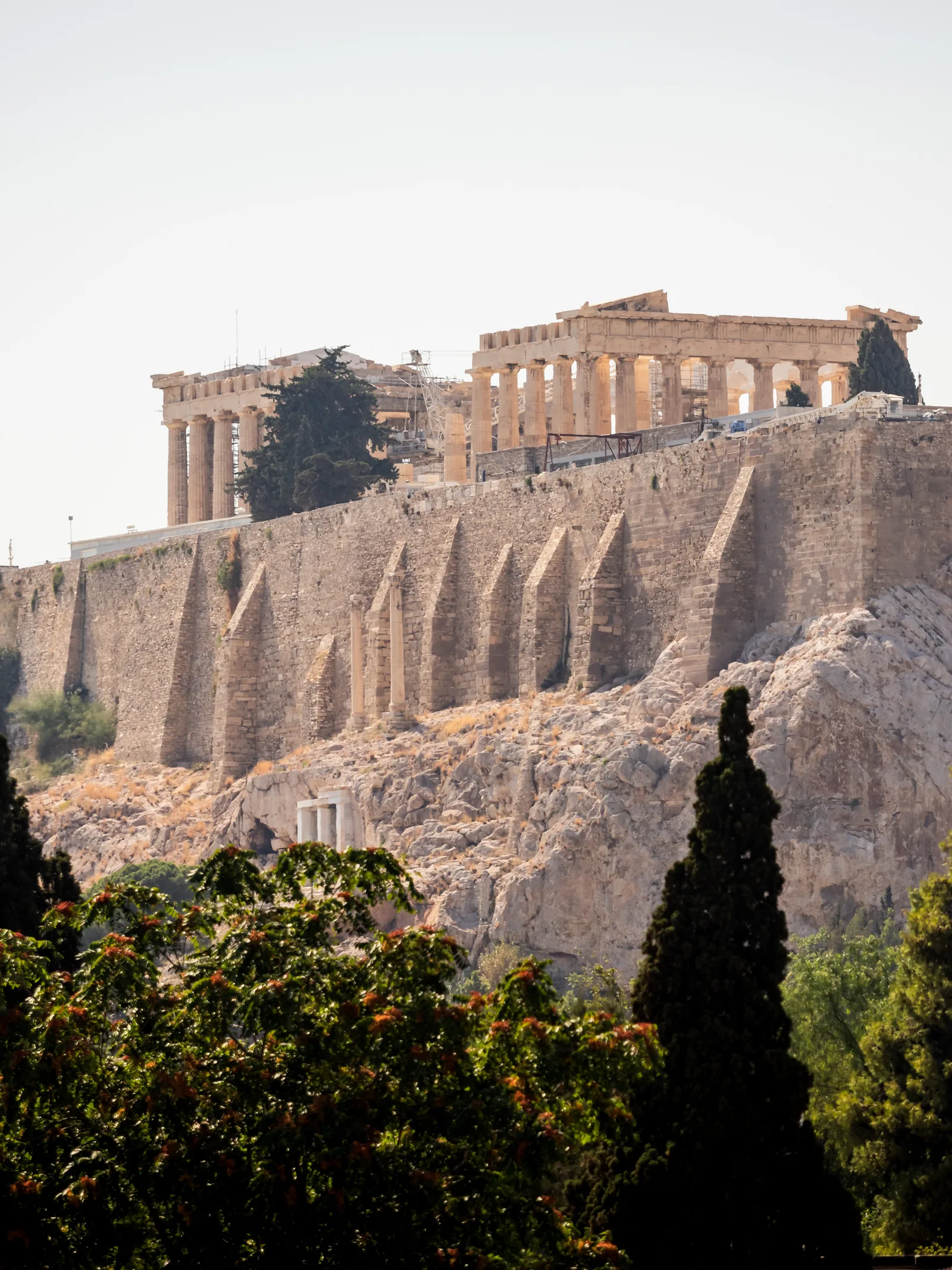 The Acropolis and its ancient temples above sheer rock walls, with cypress trees below.