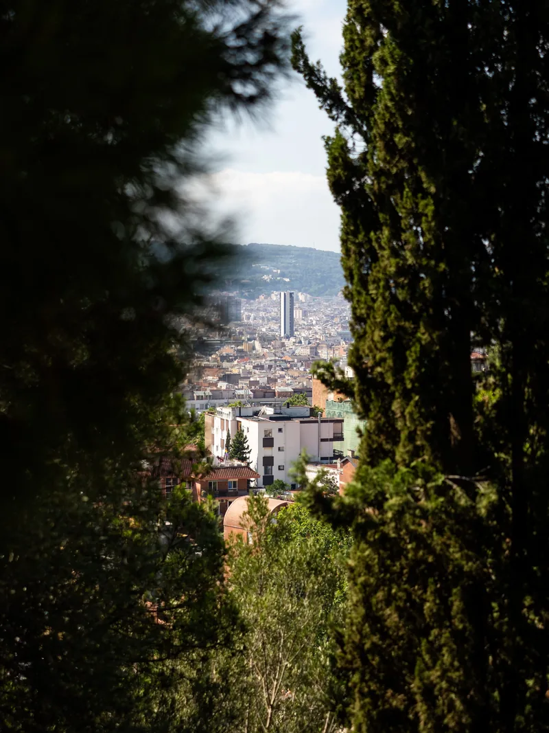 A slice of Barcelona and the hills beyond, seen through a gap between tall cypress trees.