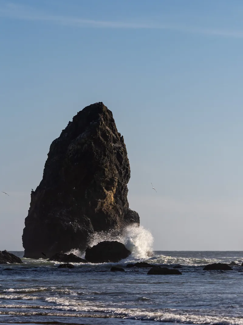 A tall sea stack with waves breaking at its base.