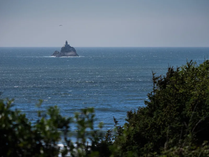 Tillamook Rock Lighthouse offshore, seen past coastal shrubs.