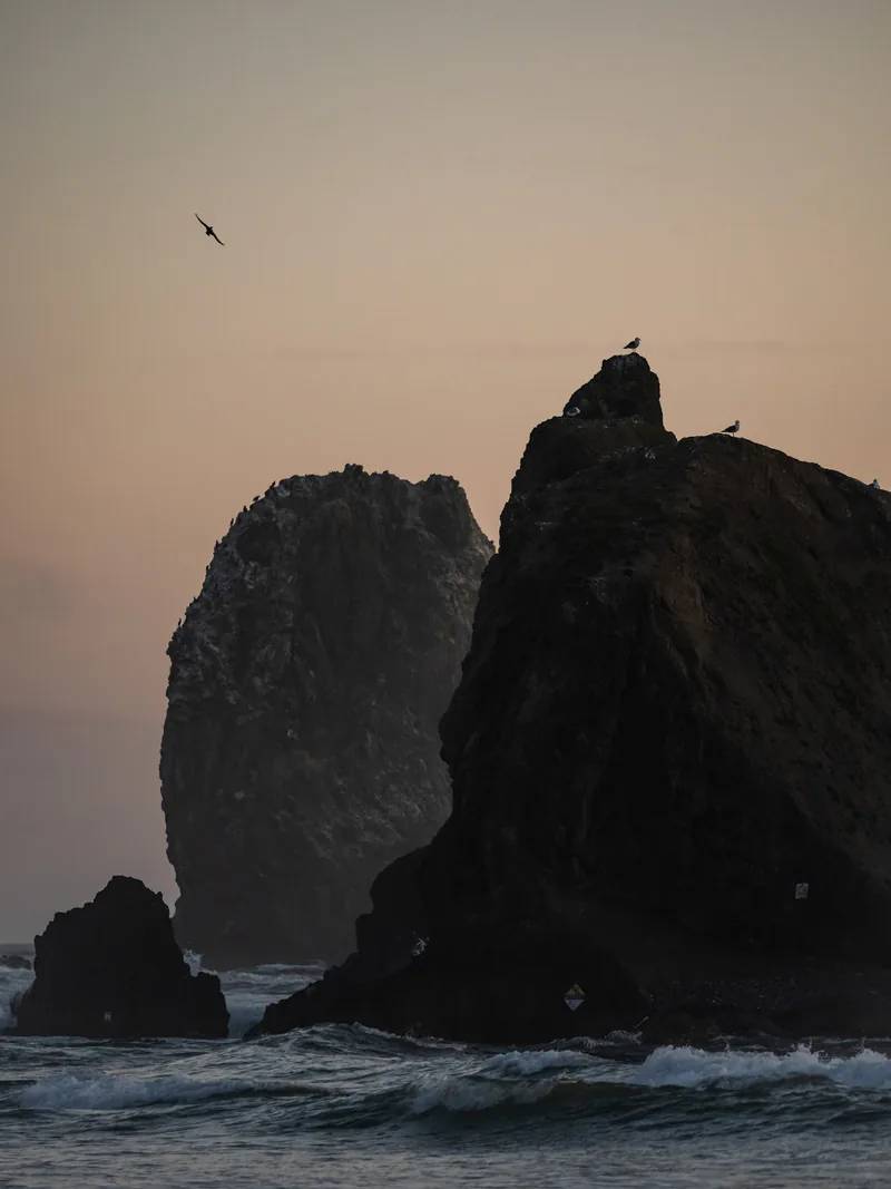 Sea stacks silhouetted against a golden evening sky.