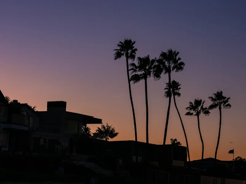 Palm trees silhouetted against a purple and orange dusk sky.