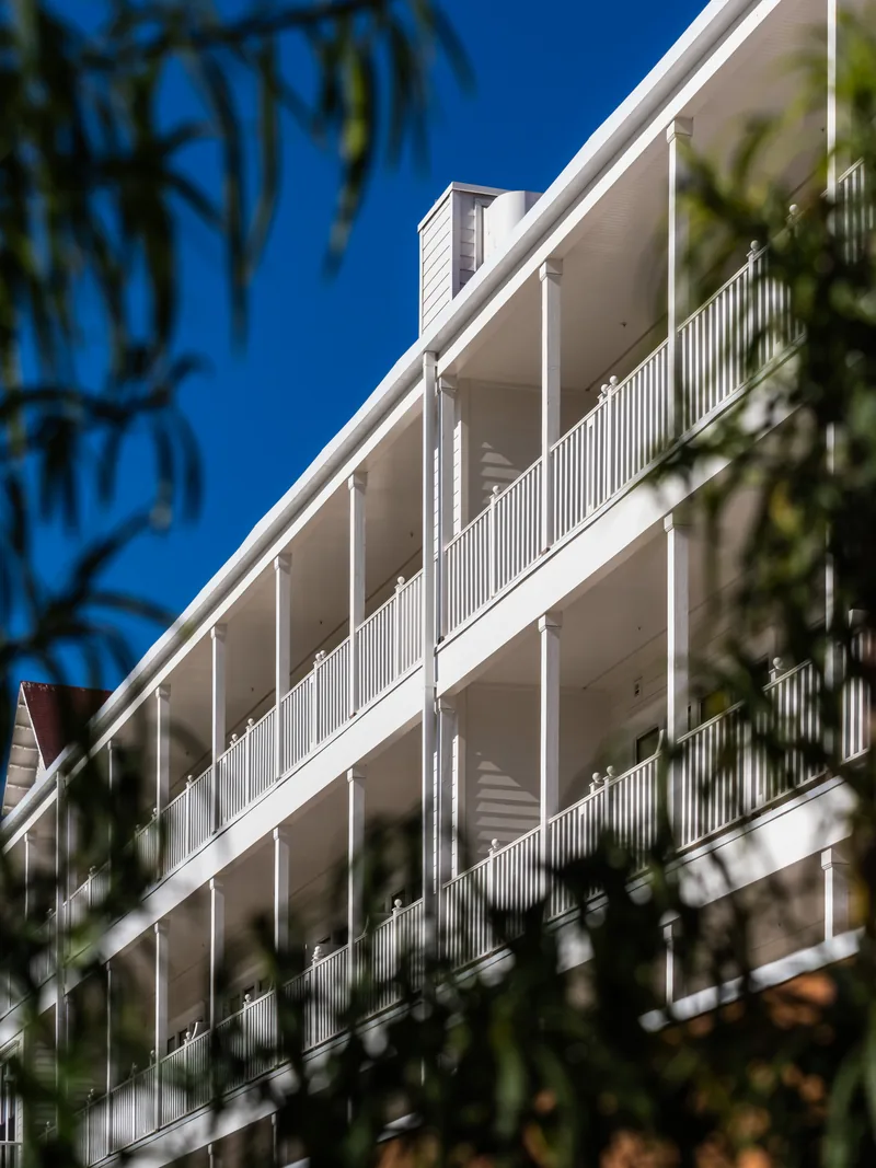 White hotel balconies seen through the leaves of a tree.