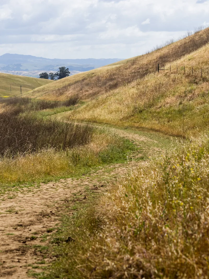A dirt trail winding between golden grassy hills.