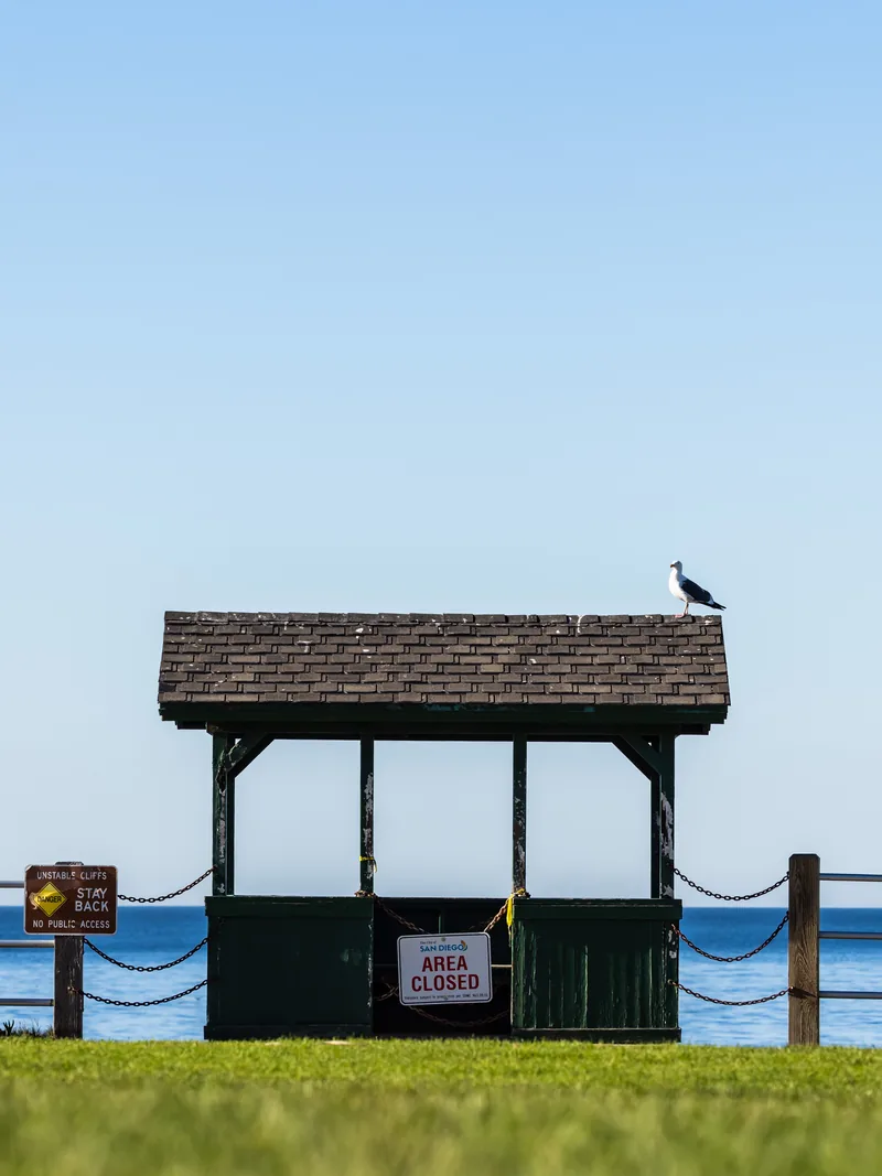 A gull on the roof of a small lifeguard shelter behind an area-closed sign.