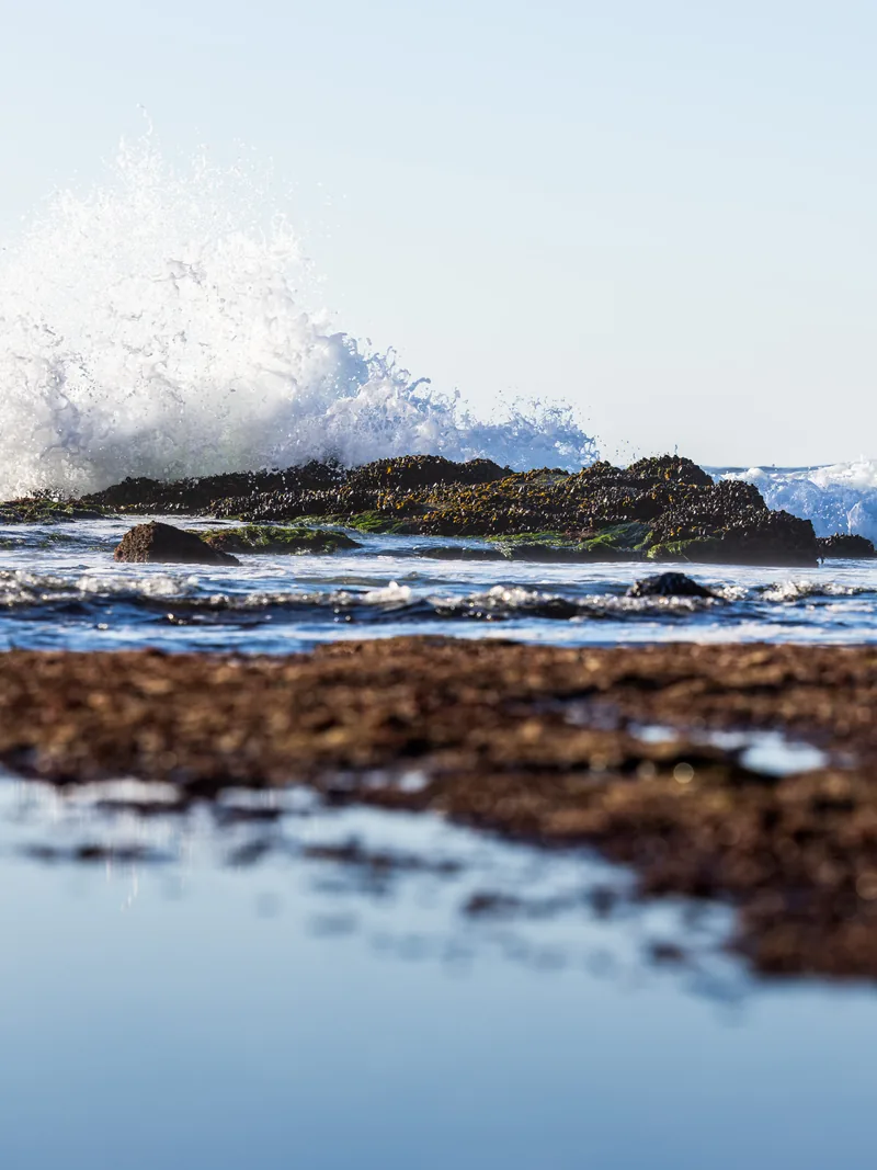 A wave bursting over a rock ledge beside a still tide pool.