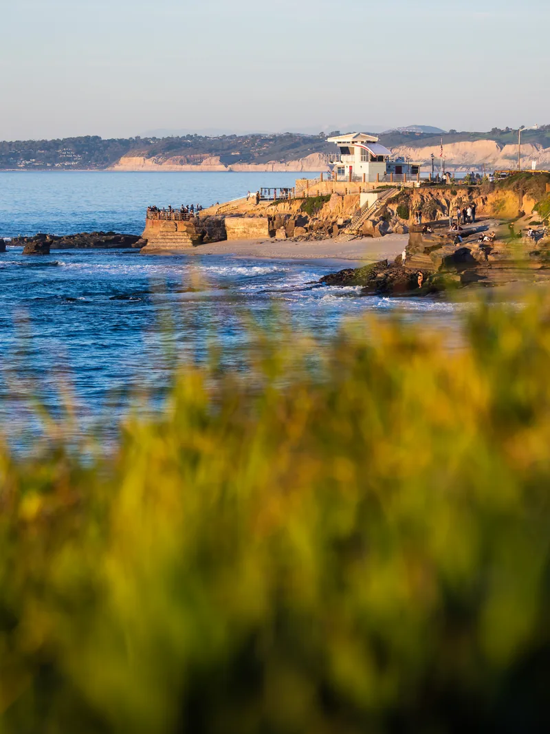 A lifeguard tower on a rocky point, seen past golden grasses.