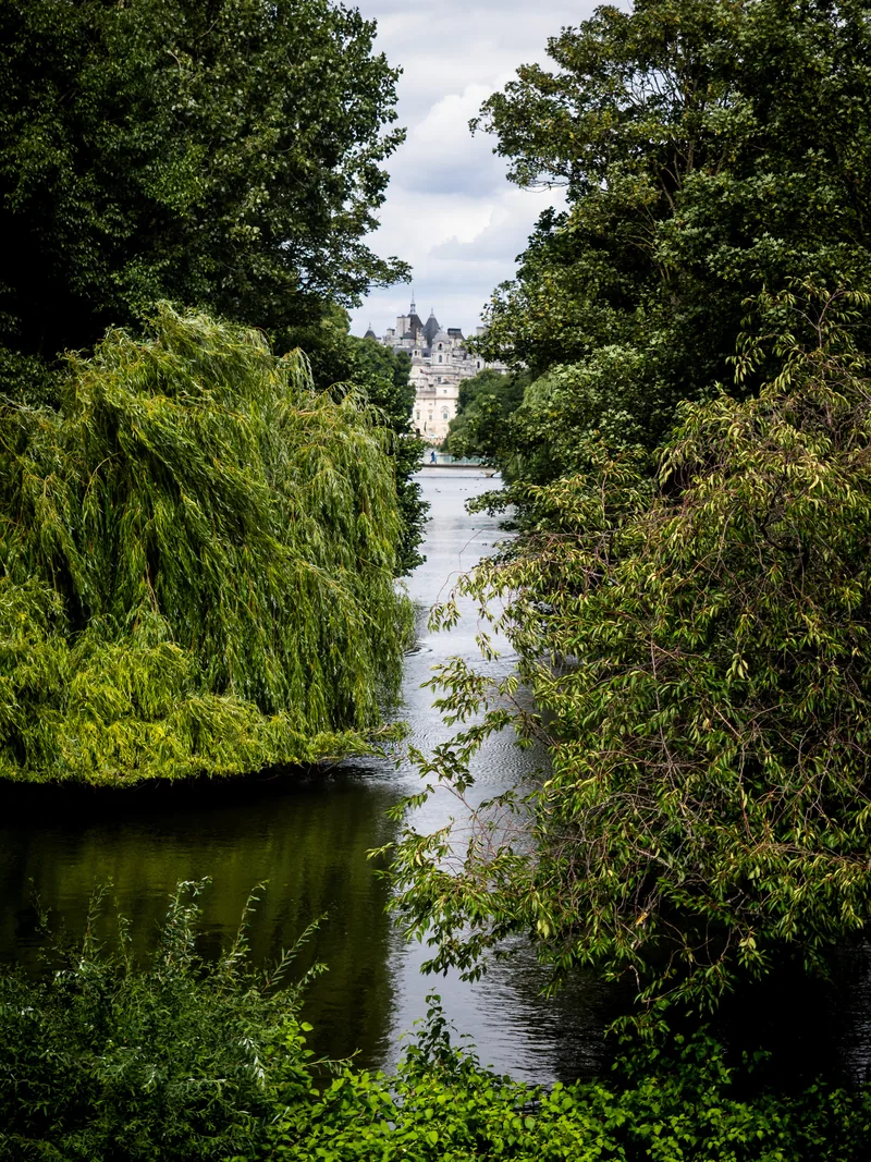 A narrow lake framed by weeping willows and dense trees, with a pale building in the distance.
