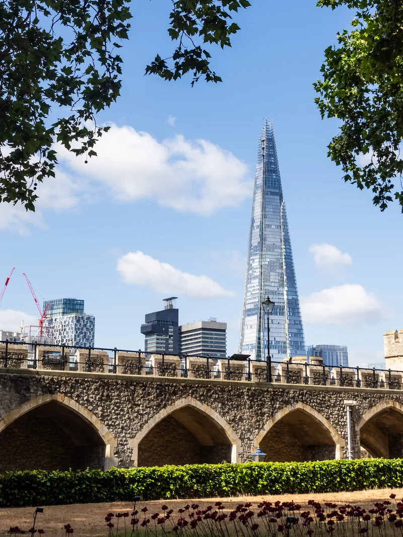 The Shard rising above the stone wall of the Tower of London, framed by overhanging leaves.