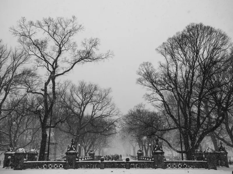 Bare trees and the Bethesda Terrace balustrade in heavy snowfall.