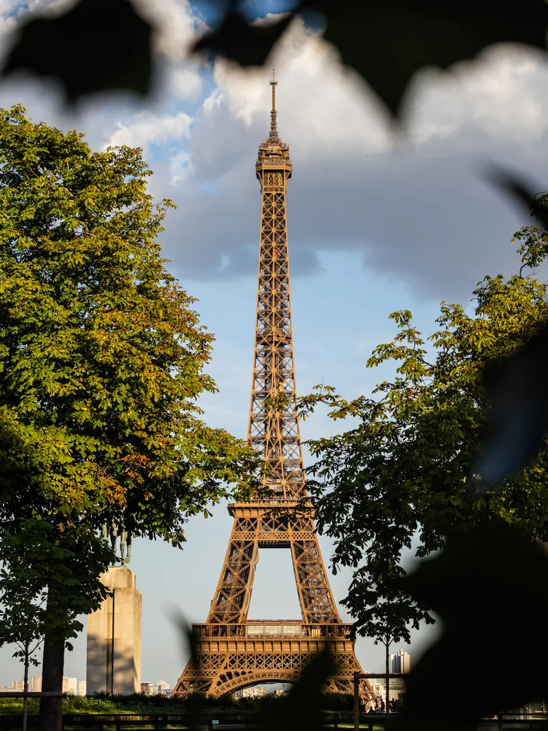 The Eiffel Tower framed by dark leaves and trees under a partly cloudy sky.