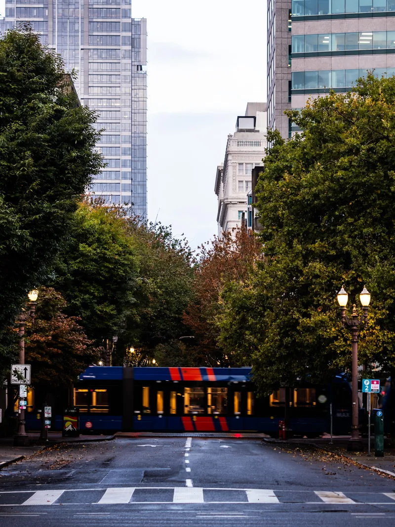 A MAX light-rail train crossing a quiet downtown street lined with trees.
