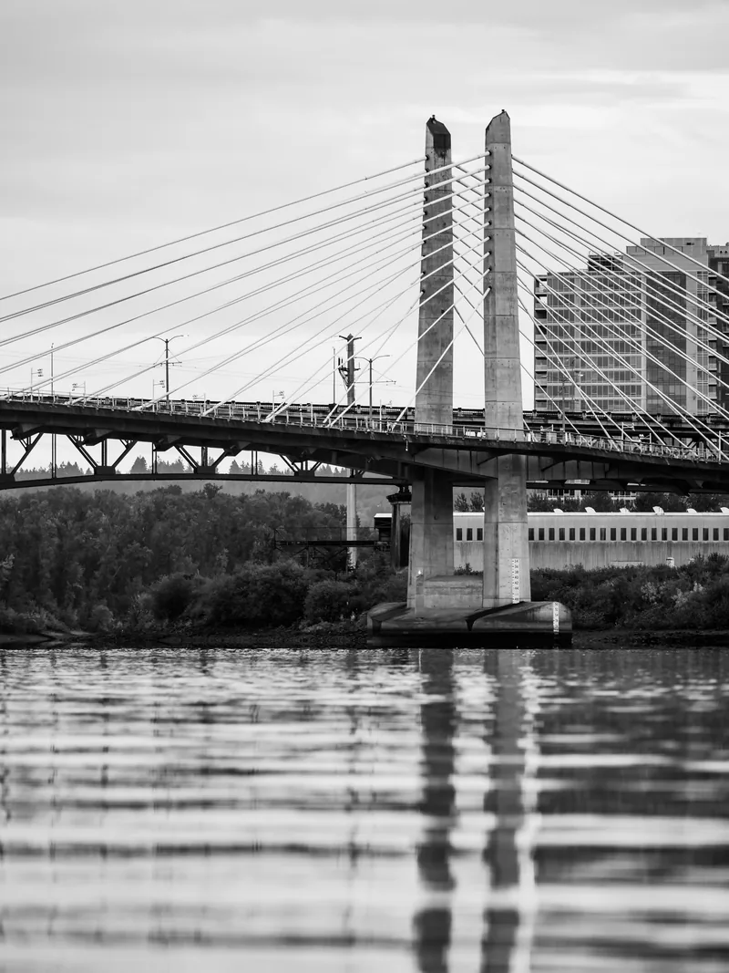 Tilikum Crossing's cable-stayed towers reflected in the river, in black and white.