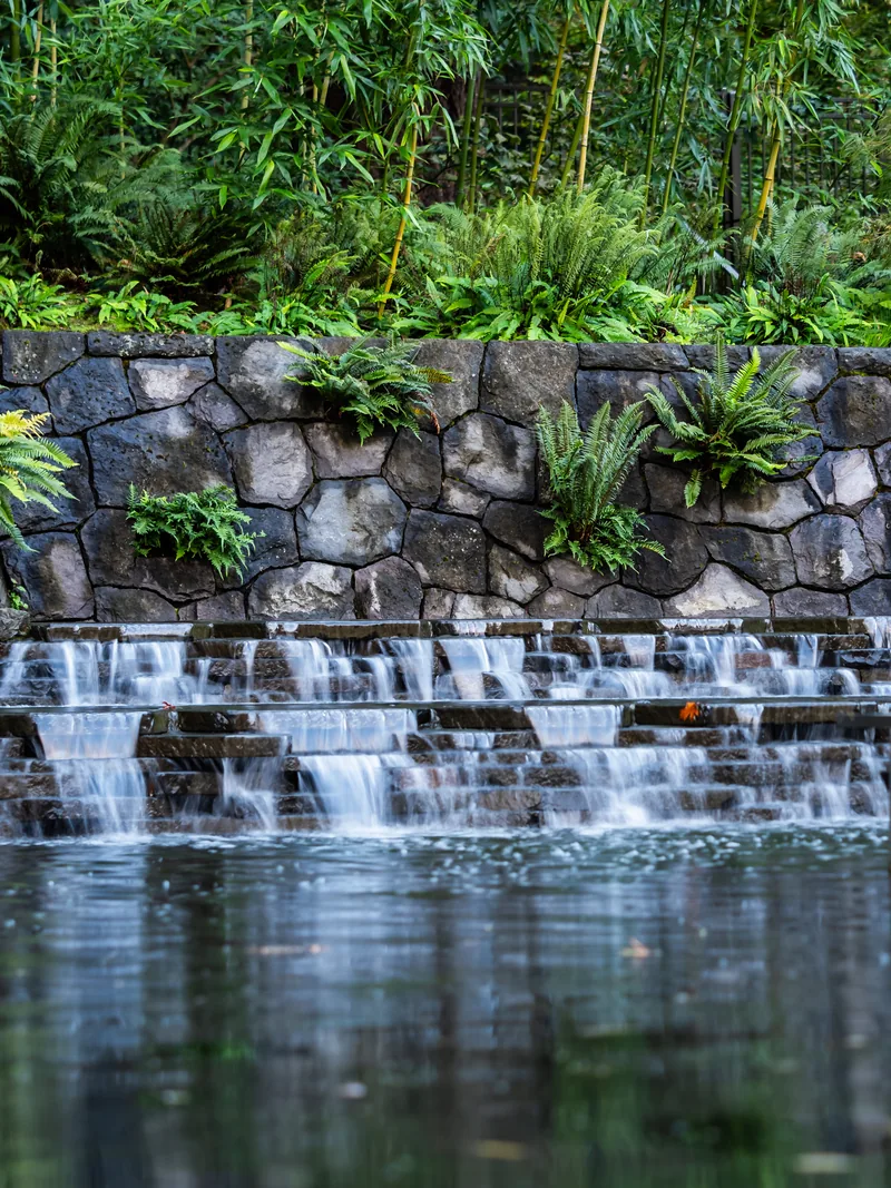 Water spilling over stone steps below ferns and bamboo in Washington Park.