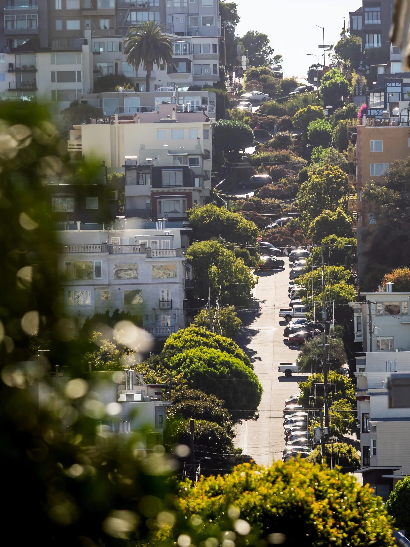 A steep San Francisco street lined with trees and houses, seen from above.