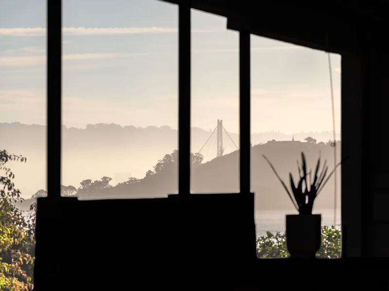 Fog and the bay seen through a darkened window with a potted plant.