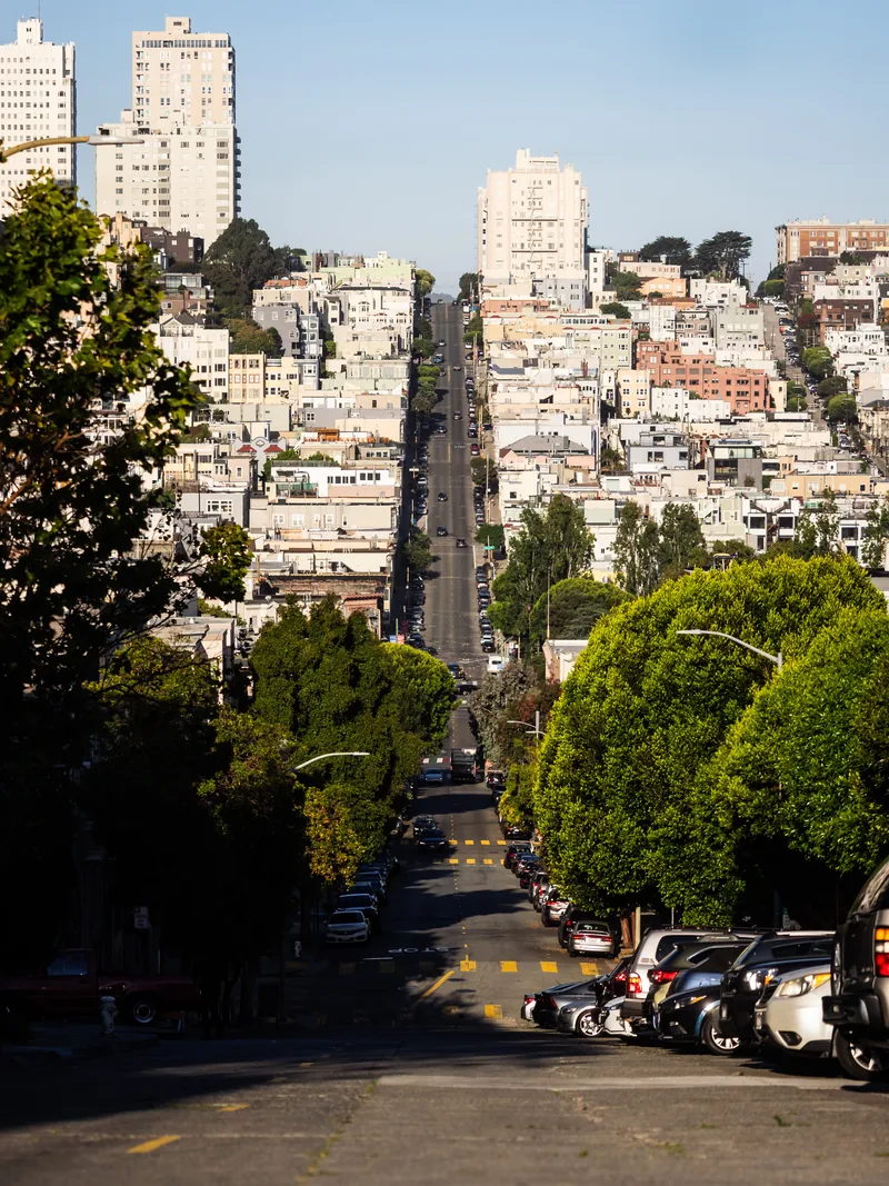 A steep street dropping toward the bay, lined with trees and houses.