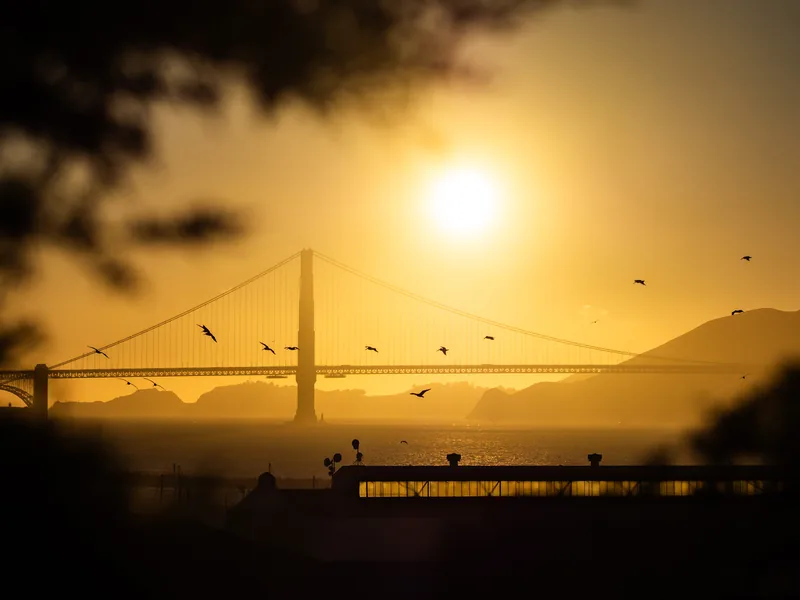 The Golden Gate Bridge silhouetted against a golden sunset with birds in flight.