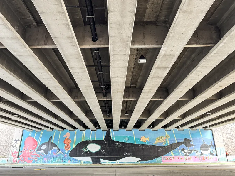 Concrete beams of an overpass fan out above a mural of orcas and sea creatures.
