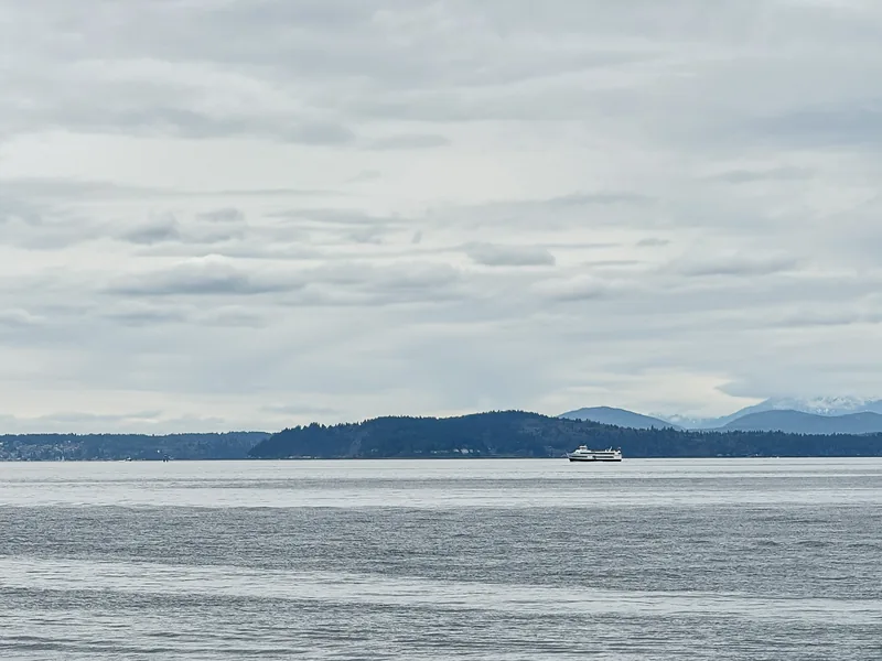 Gray water and a distant ferry below low clouds and snow-capped mountains.