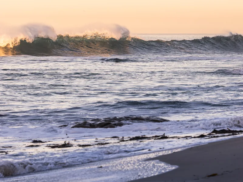 A wave curling toward the beach in pastel morning light.